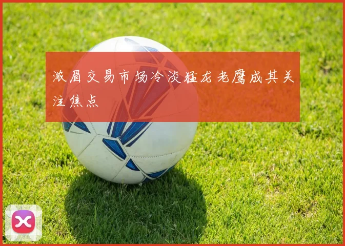 浓眉交易市场冷淡猛龙老鹰成其关注焦点