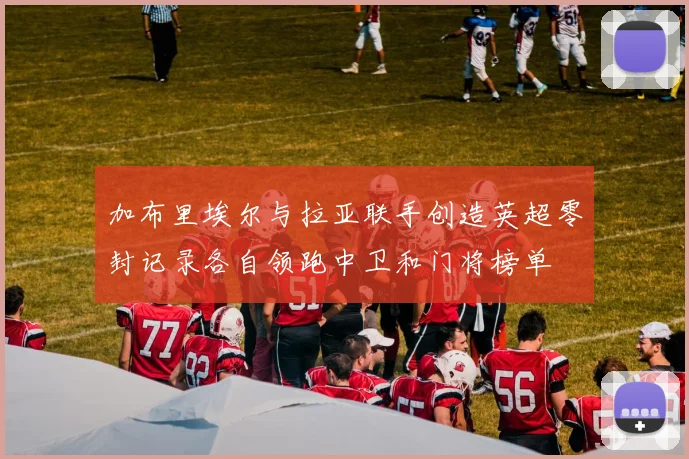 加布里埃尔与拉亚联手创造英超零封记录各自领跑中卫和门将榜单