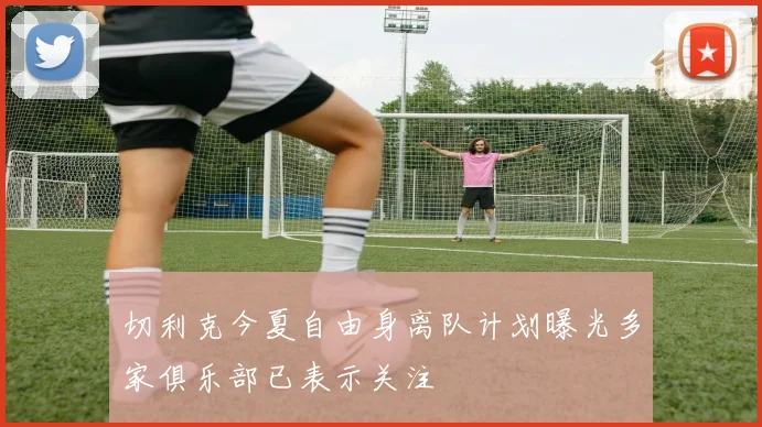 切利克今夏自由身离队计划曝光多家俱乐部已表示关注