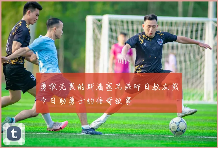 勇敢无畏的斯潘塞兄弟昨日救灰熊今日助勇士的传奇故事