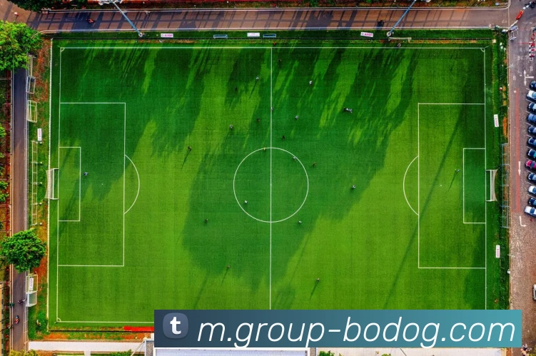 多媒体互动体验