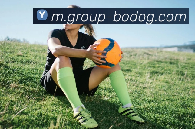 博狗娱乐APP 高清赛事图